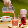 Portable Mini Crusher Juicer – USB Rechargeable Electric Juice Cup with Straw & Handle